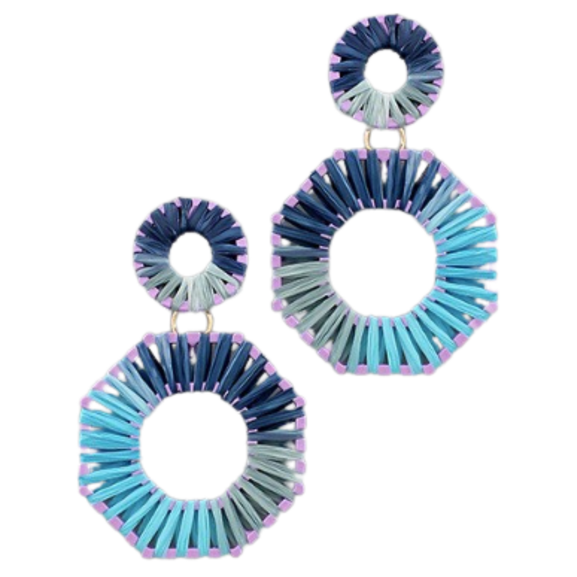 Elevate your look with these elegant octagon hoop earrings. Crafted with varying shades of blue, these chic dangle earrings feature a modern, hoop shape that adds an instant impact to any look.