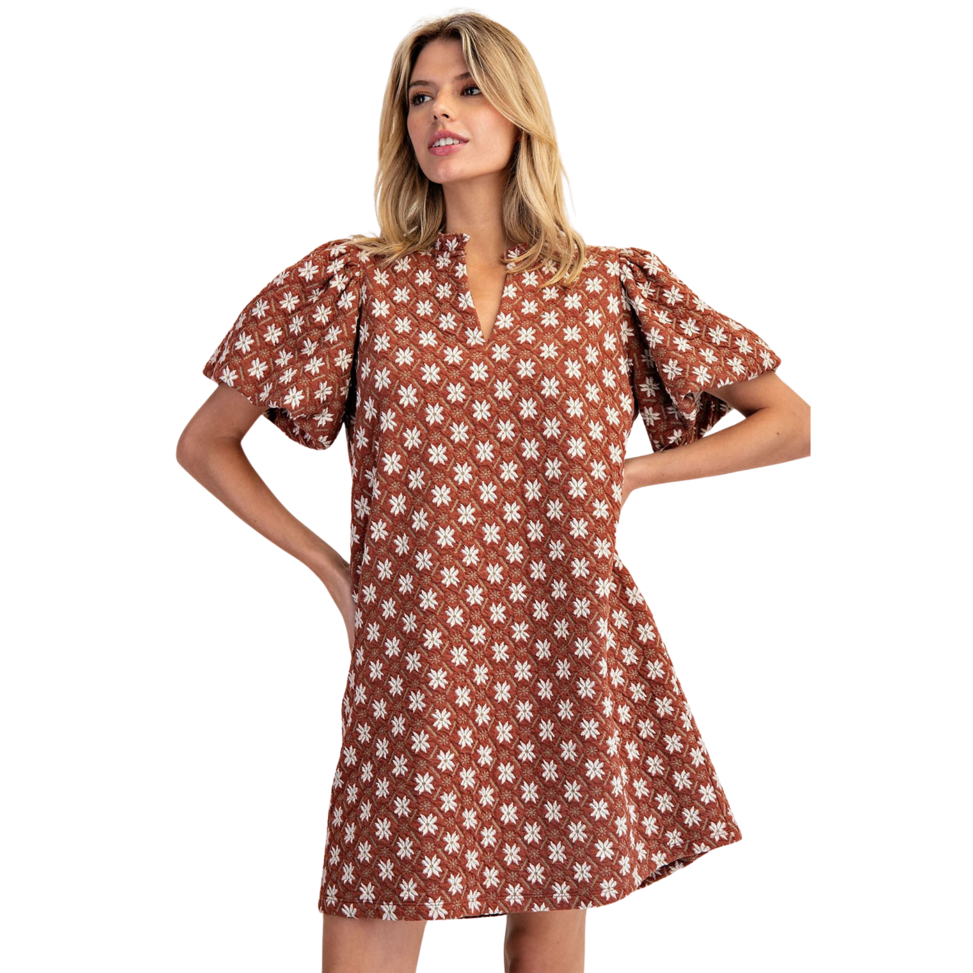 Elevate your wardrobe with this sophisticated mini dress, featuring delicate embroidered detailing against a warm cinnamon backdrop. The romantic floral pattern is complemented by voluminous puff sleeves that add dimension and contemporary flair. Crafted by a trusted brand known for quality construction, this piece transitions seamlessly from casual daytime wear to evening occasions. The structured silhouette and thoughtful design elements make it a versatile addition to any collection.