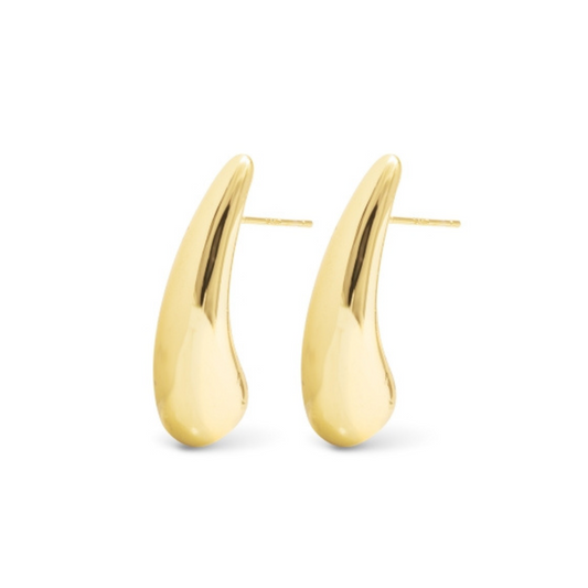Michelle Polished Droplet Earring